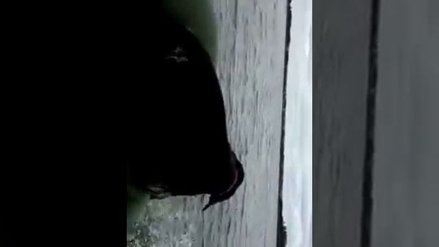 video 2012 09 01 13 58 47 смотреть онлайн