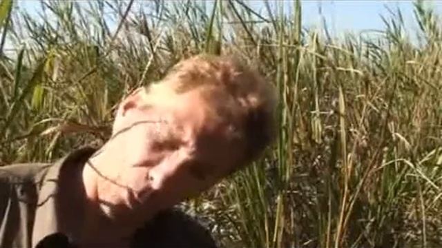 как достать из уха насекомое смотреть онлайн