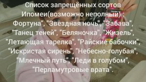 20 февраля 2024 года. Сеем помаленьку... Прощай ипомея трёхцветная.