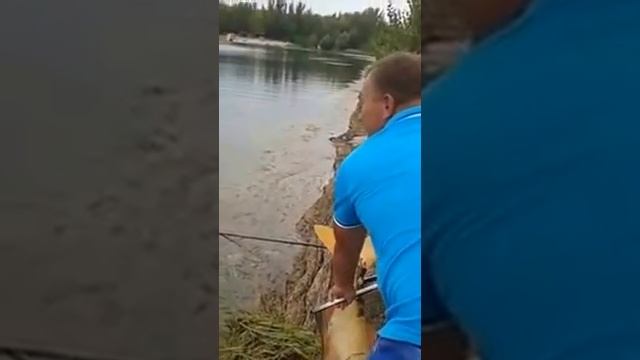 рыбалка в Ростове на Дону смотреть онлайн