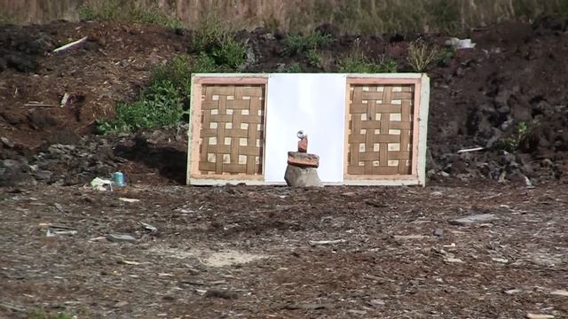 Airgun VS Powder Gun