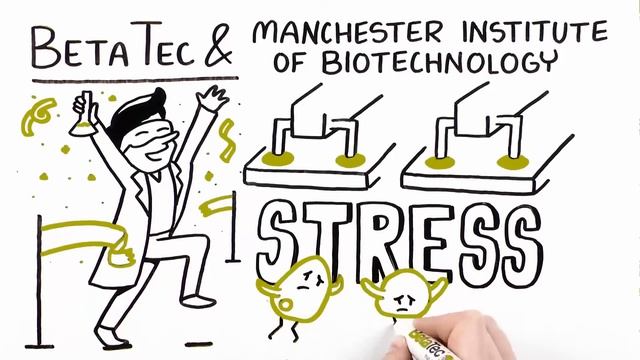 Yeast Health Scientific Study