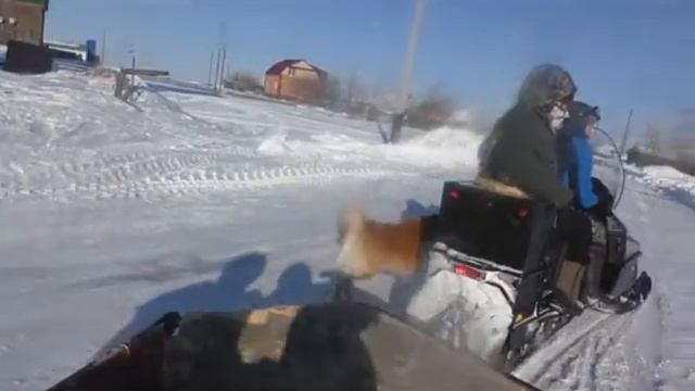 Поездка на снегоходах вдоль реки Обь смотреть онлайн