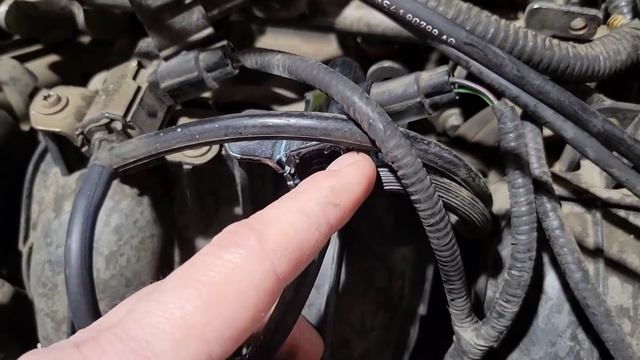 2004 Ford Focus What Caused P2004 смотреть онлайн