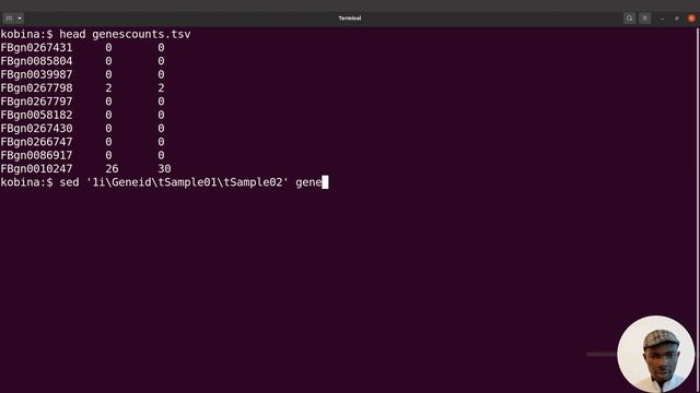 Linux SED command to add headers to tsv files | Linux Tutorial for Beginners смотреть онлайн