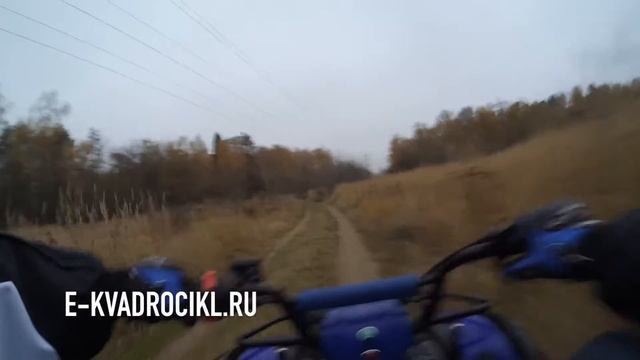 Квадроцикл MOWGLI с механической коробкой смотреть онлайн