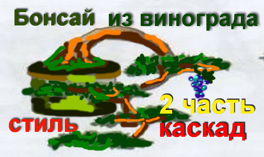 2.Бонсай из винограда стиль каскад посадка на камень часть 2.