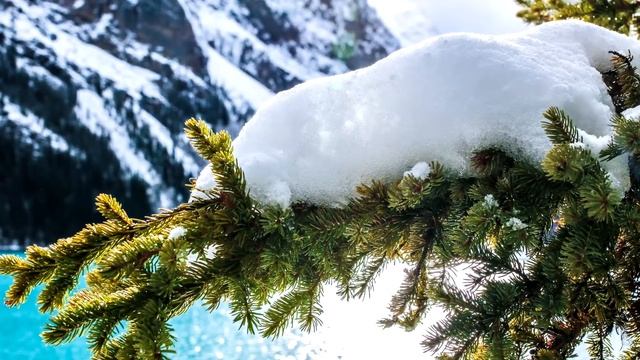 Ухаживайте за своими ресницами, чтобы они ухаживали за вами