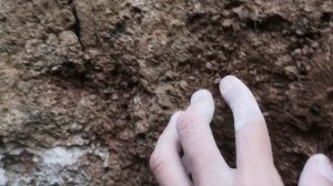 Показываю залегание Каолина среди Татарстанских глин. Нежнейший! Природа залегания каолина.