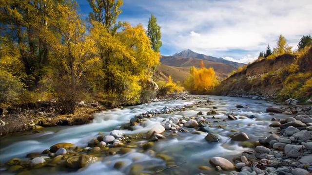 Наши астрологические портреты. Как я пришел в Астрологию смотреть онлайн