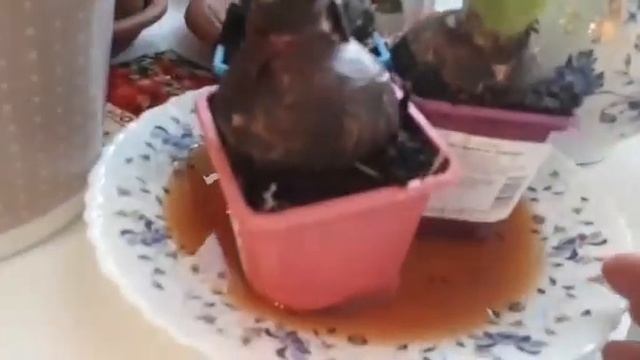 Вкусная еда для всех случаев жизни 