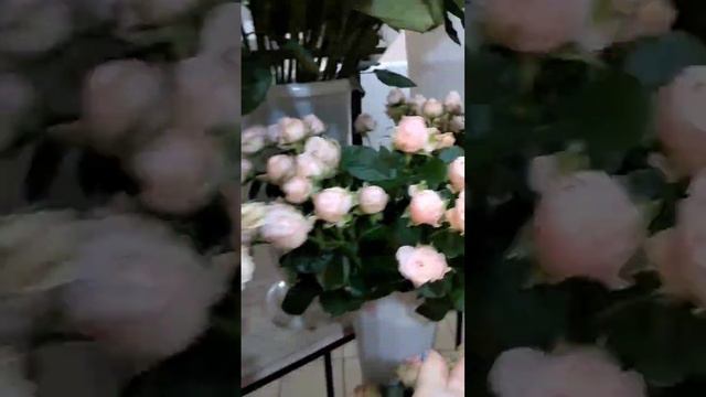 И ТАК КАЖДОЕ УТРО 💐☀️ #тикток #цветы #флористика #доставкацветов #flowers смотреть онлайн