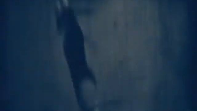 Народный Цирк * д.к. Чкалова * r. Ульяновск 1976 смотреть онлайн