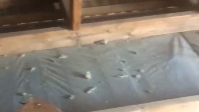 Эковата Утепление Домов смотреть онлайн