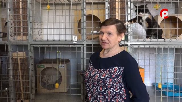 Доброе сердце 16.04.2021 смотреть онлайн