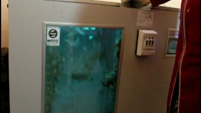 Сухая чистка реставрация подушек!.mp4 смотреть онлайн