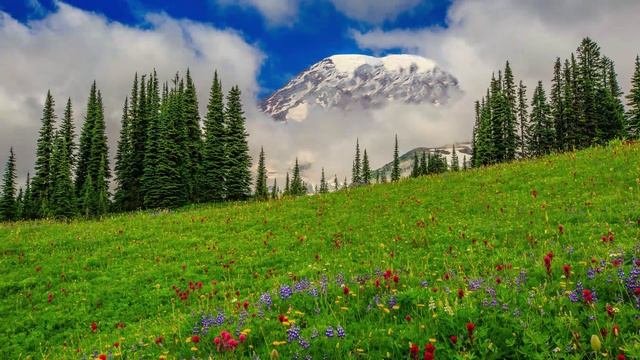 Алексей Мандельштам - С днём рождения (Бриз)