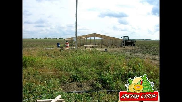 Теплица своими руками 35х12 смотреть онлайн