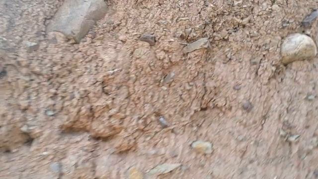 Каменные грибы в долине Сотера смотреть онлайн