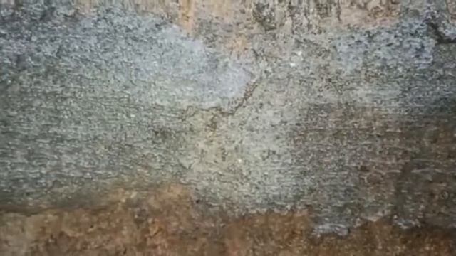 Чистка и ремонт колодца в Волоколамском районе смотреть онлайн