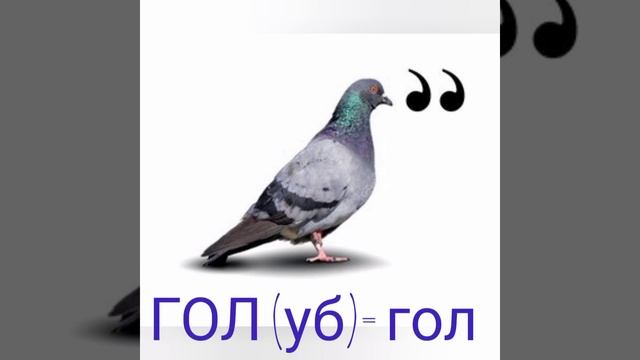 "Де логіка? 2" гра на уроці фізичної культури. Дистанційне навчання. смотреть онлайн