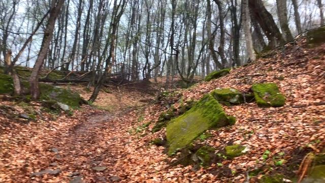 3 день.Путешествие на квадроцикле Brp Can-am 800 Xtp по дикой природе кавказа.