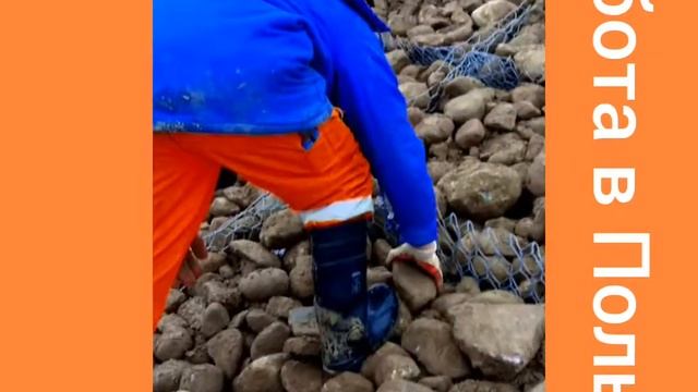 Работа в Польше подводные камни смотреть онлайн