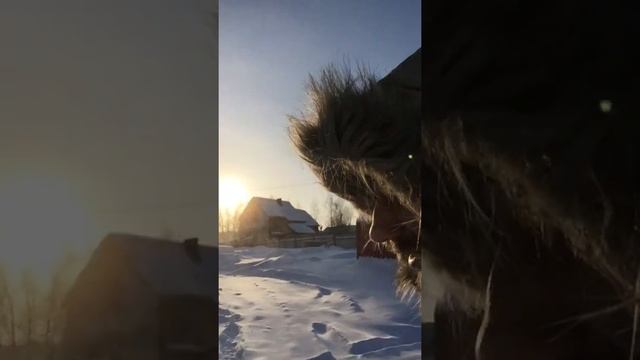 Солнце греет Землю... или не солнце? смотреть онлайн