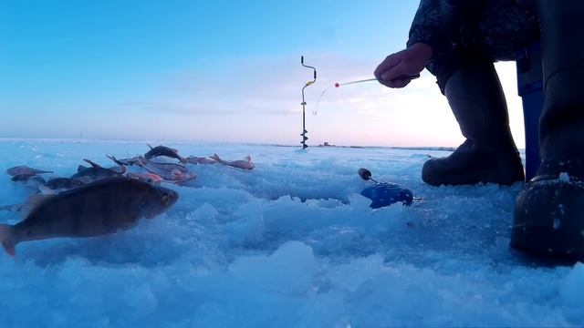 ЗИМНЯЯ РЫБАЛКА АКЪЯР ОКУНЬ 2016 смотреть онлайн