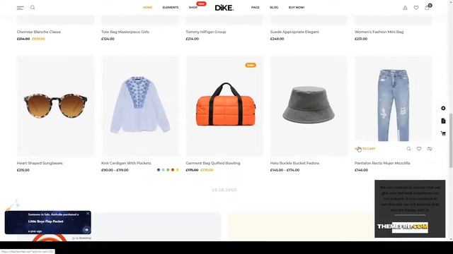 Dike - Minimal and Modern WooCommerce AJAX Theme multi vendor store Nishikawa смотреть онлайн