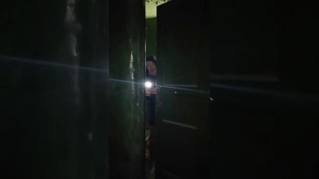 Заброшенное здание на острове Котлин, заказник Западный Котлин, г.Кронштадт смотреть онлайн