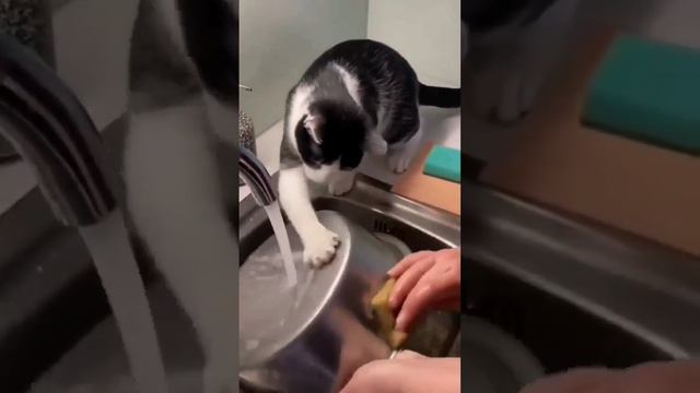 Посудомойка смотреть онлайн