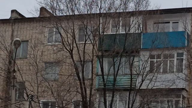 г.Котово, Волгоградская обл.,(05.02.21).