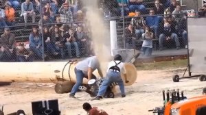Самые большие и сильные бензопилы в мире