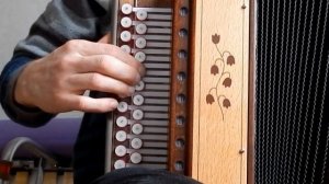 Там,где клён шумит...(как играть на гармони,с цифрами)