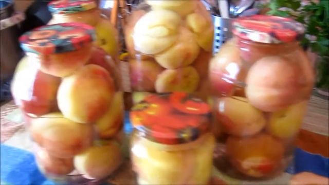 Наука о Животных и их Поведение