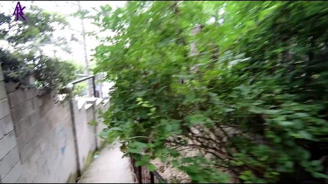 Крым. ЮБК. Гаспра. Пришёл июнь и с ним жара. Запись от 01.06.23 смотреть онлайн