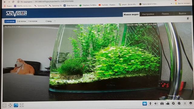 SVI-S482 VM SD PRO Уличная IP камера 8 Мп, 2.8-12мм смотреть онлайн