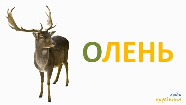 ? Дикі тварини для дітей. Назви тварин українською. Ukrainian For Kids