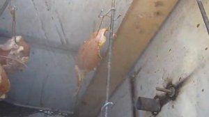 Куриные грудки и курица холодного копчения