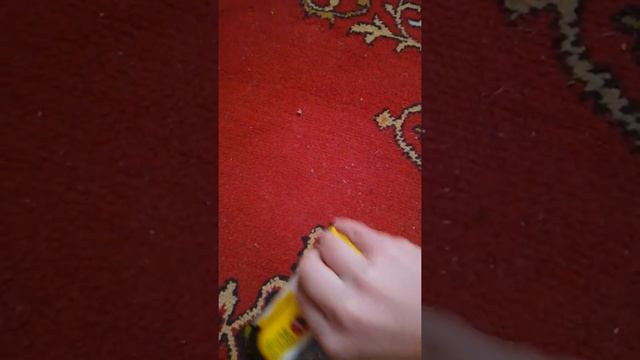 Распаковка супа 