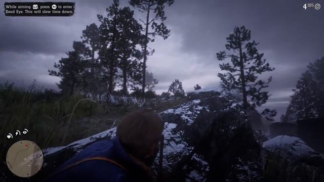 Red Dead Redemption 2 PS5 60 FPS Update Gameplay