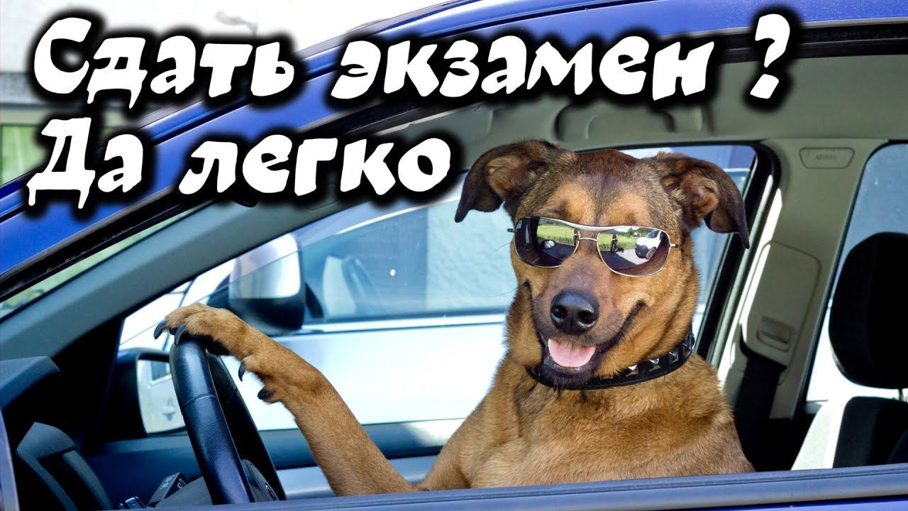 Кому чаще везёт на экзамене по вождению смотреть онлайн