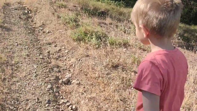ПИК НИК И ПРОГУЛКА В ЛЕСУ! ЧТО МЫ НАШЛИ В ЛЕСУ???? смотреть онлайн