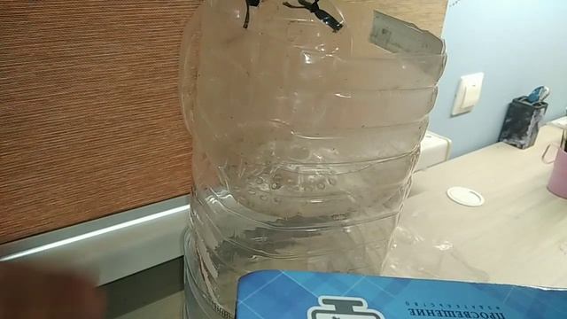 Ферма Опарыша как идея смотреть онлайн