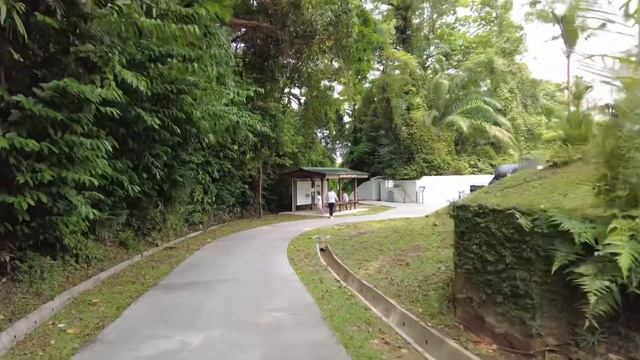 Sub) Weekend vlog | W hotel Sentosa | Greek Foods | Couple date in Singapore смотреть онлайн