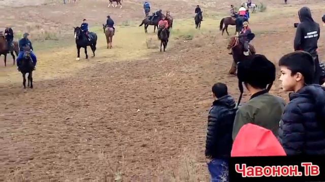 Бузи варашлобод. 02-ноябрь . 2022 смотреть онлайн