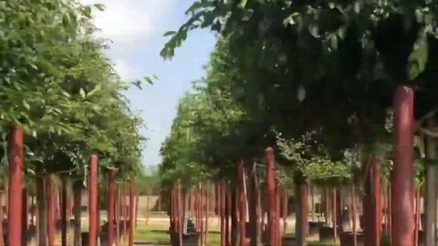 What is Landscapers Pride? смотреть онлайн