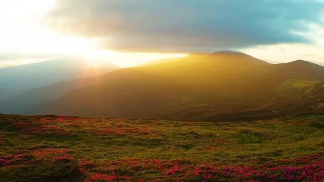 Beautiful Instrumental Hymns, Peaceful Soothing Music, Video In 4k  