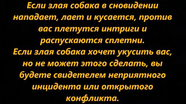 К чему снится укус собаки смотреть онлайн